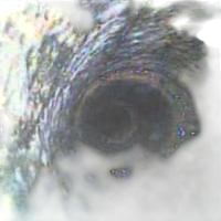 Borewell Scanning